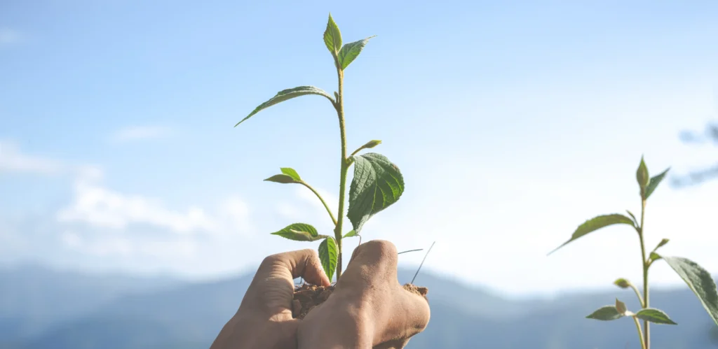 sostenibilidad huella carbono - Repairco